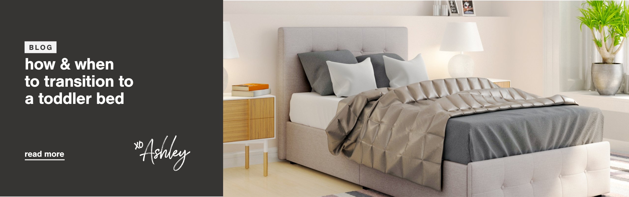 Transition to Toddler Bed