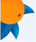 Orange Rewards Logo