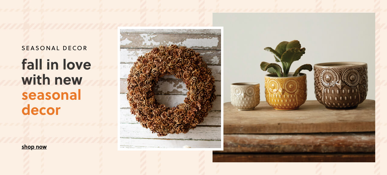 FALL in love with NEW Seasonal Decor!