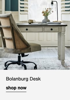 Bolanburg Desk