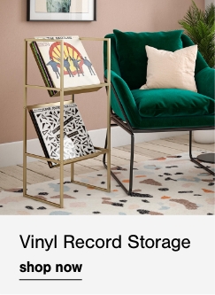 Vinyl Record Storage