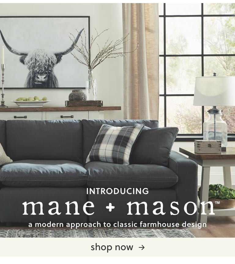 Ashley Furniture Home Decor Mane And Mason