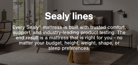 Sealy mattress store near me hot sale