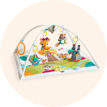 Play Mats & Activity Gear