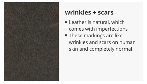 Wrinkles + Scars