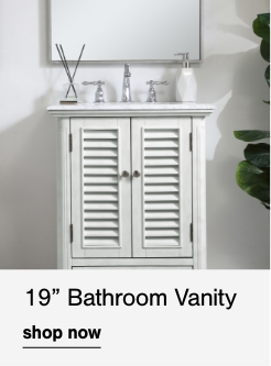 19 Bathroom Vanity